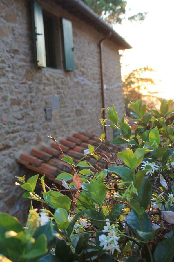 Podere I Rovai-Apt Il Rifugio- In The Heart Of Tuscany Reggello Exterior photo