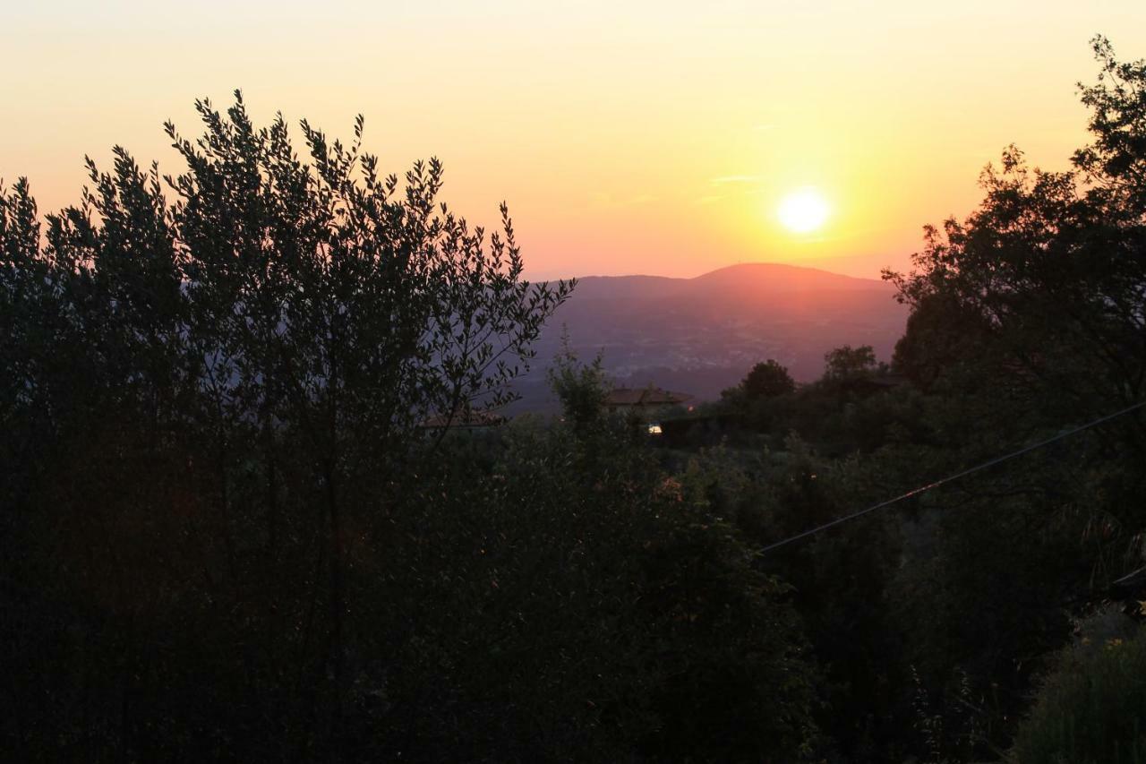 Podere I Rovai-Apt Il Rifugio- In The Heart Of Tuscany Reggello Exterior photo