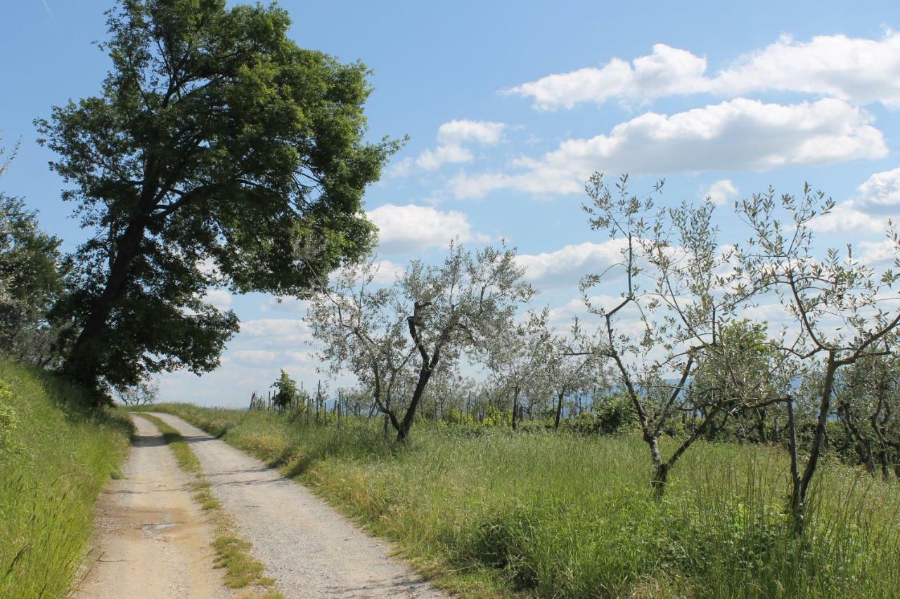 Podere I Rovai-Apt Il Rifugio- In The Heart Of Tuscany Reggello Exterior photo